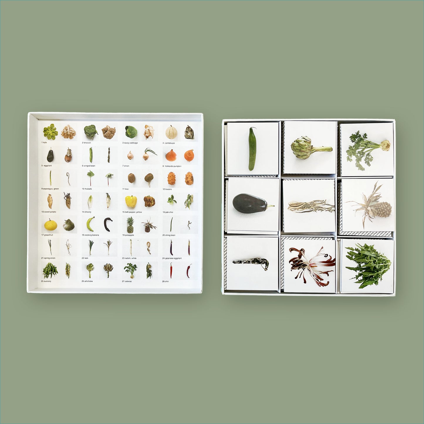 Karin Sander: Kitchen Pieces Memo Game