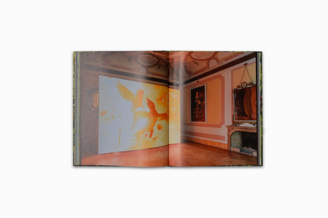 David Claerbout: Birdsong