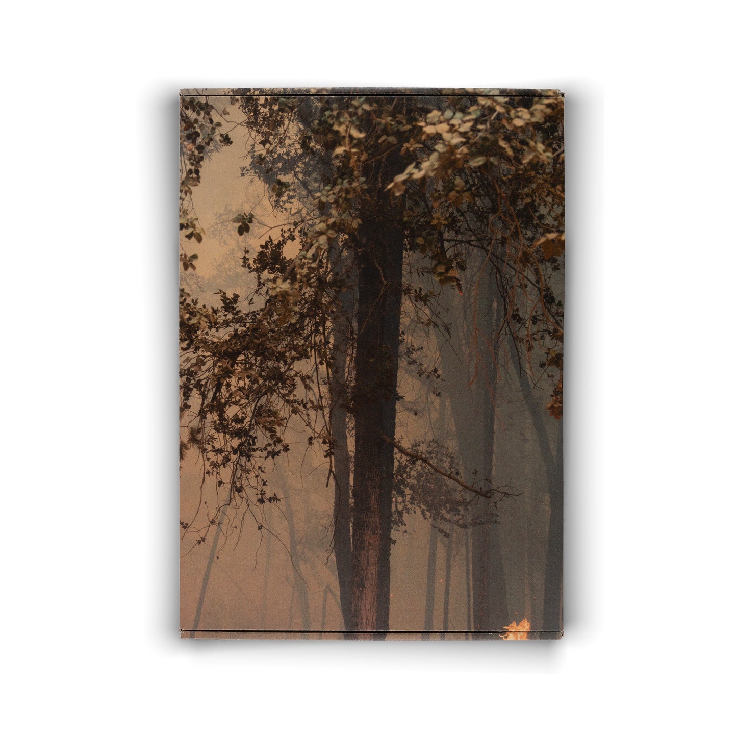 Julius von Bismarck: Feuer mit Feuer (Shirt), 2019