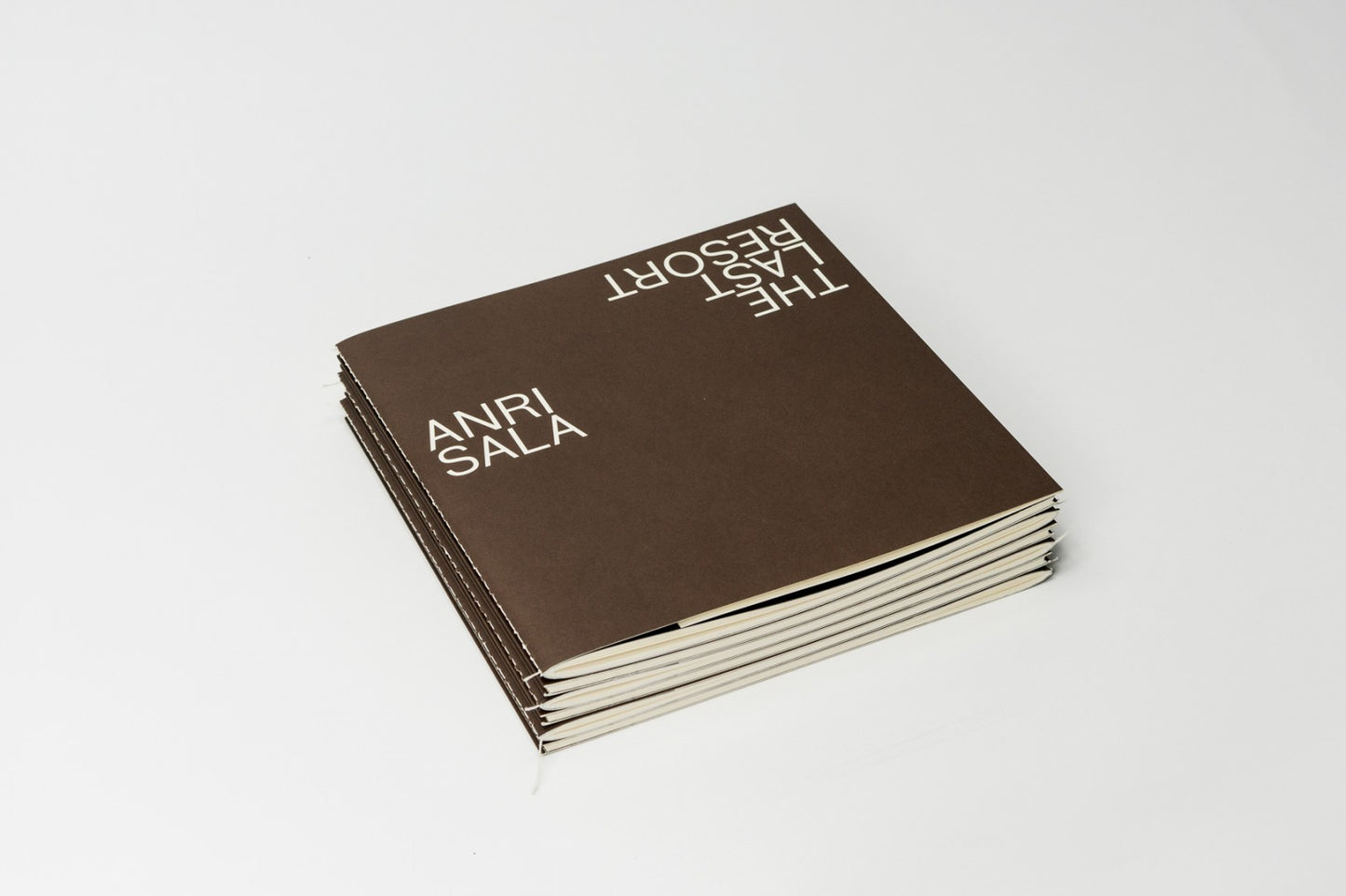 Anri Sala: The Last Resort