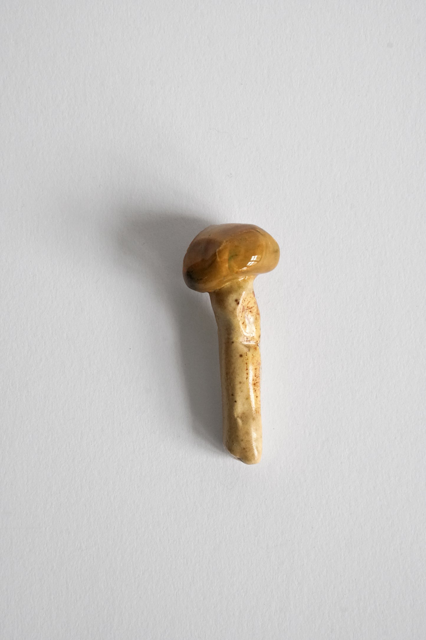 Isa Melsheimer: Matsutake, 2018-2020