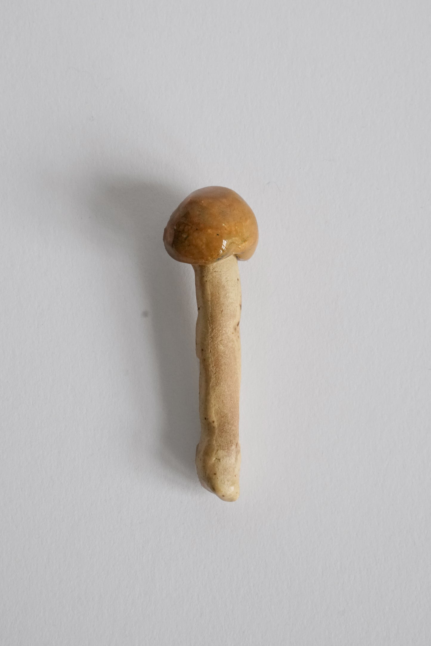 Isa Melsheimer: Matsutake, 2018-2020