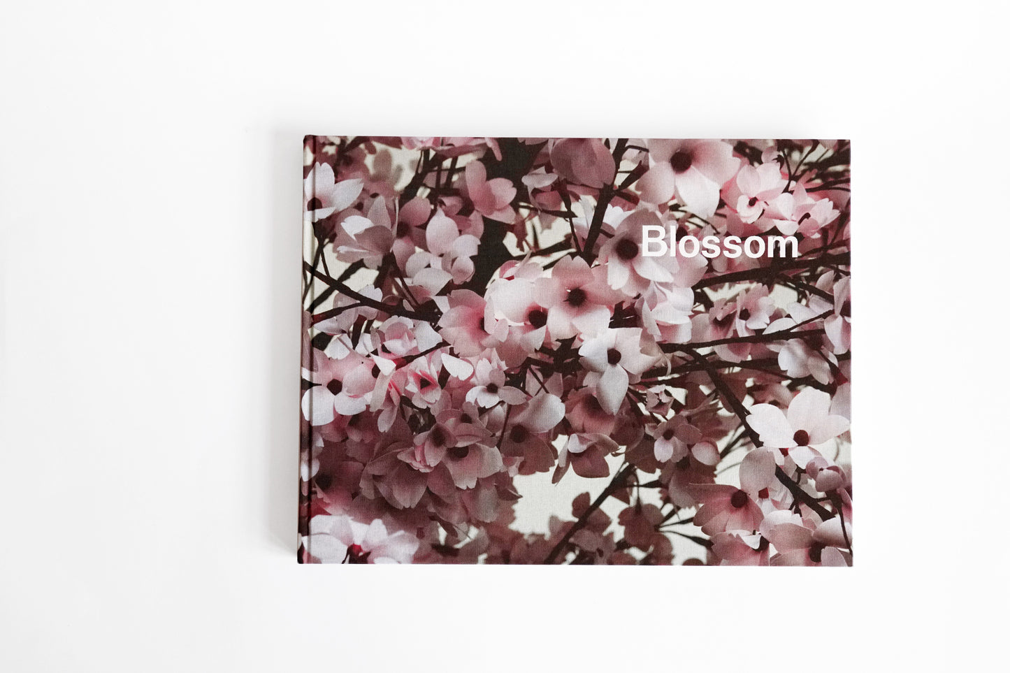 Thomas Demand: Blossom