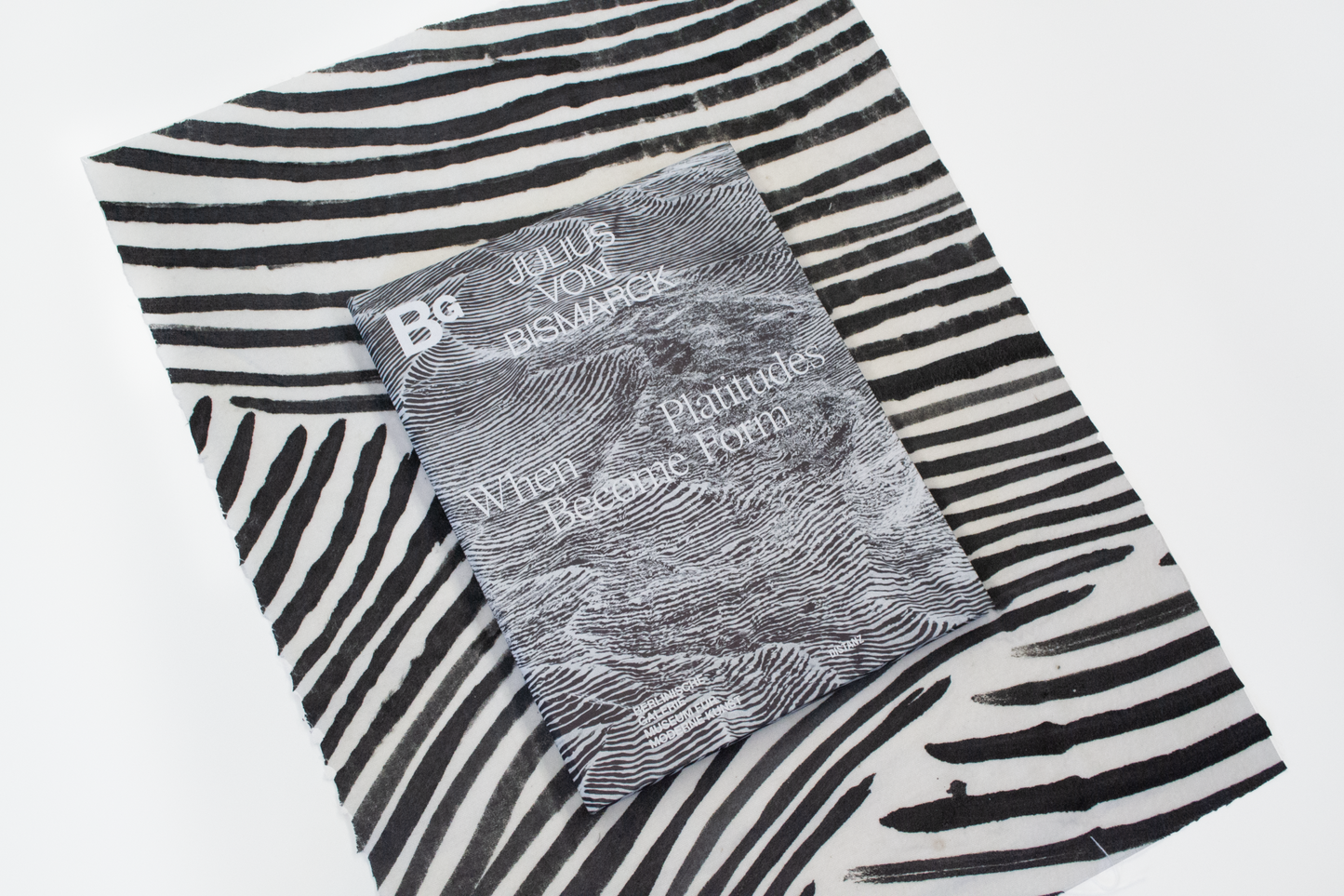 Julius von Bismarck: When Platitude Becomes Form, 2023