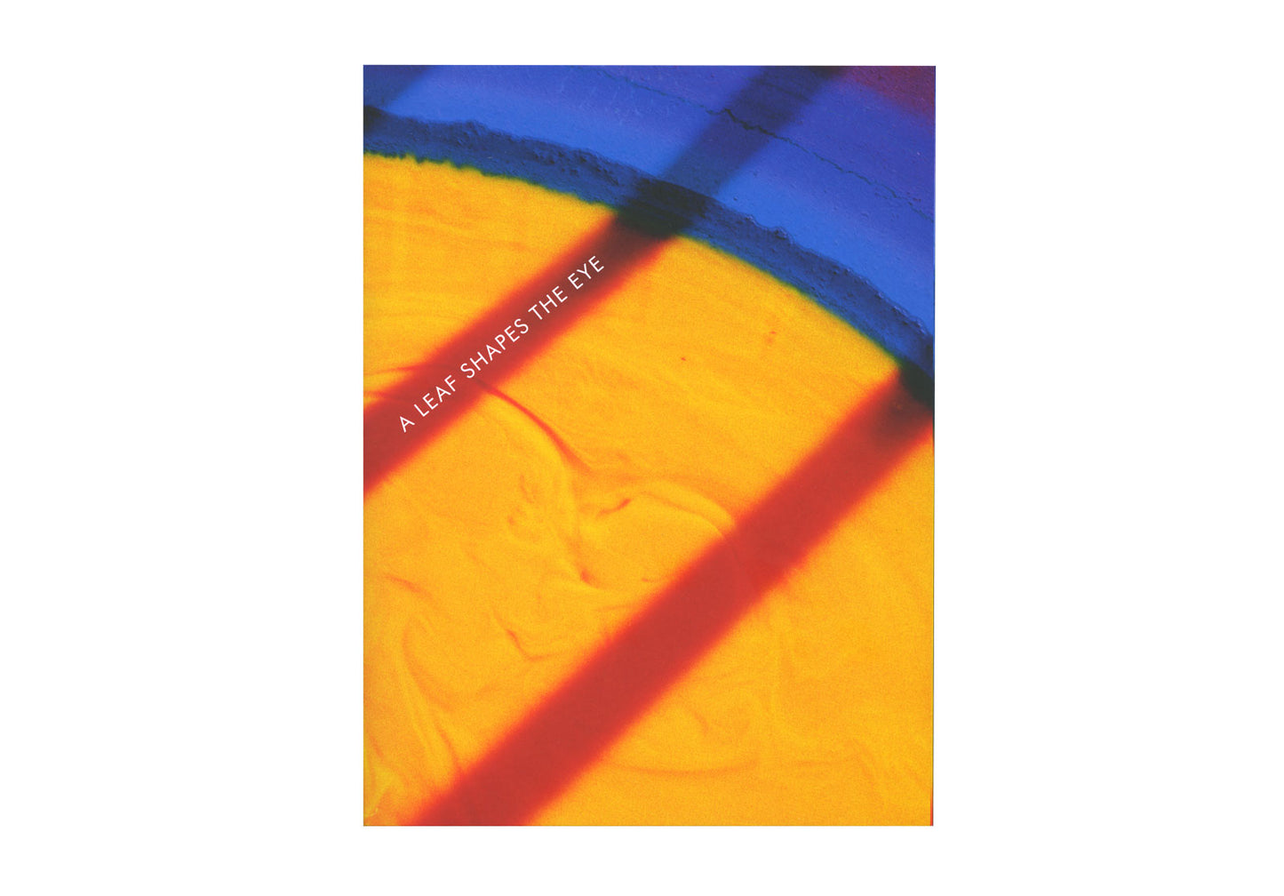 Daniel Steegmann Mangrané: A Leaf Shapes the Eye