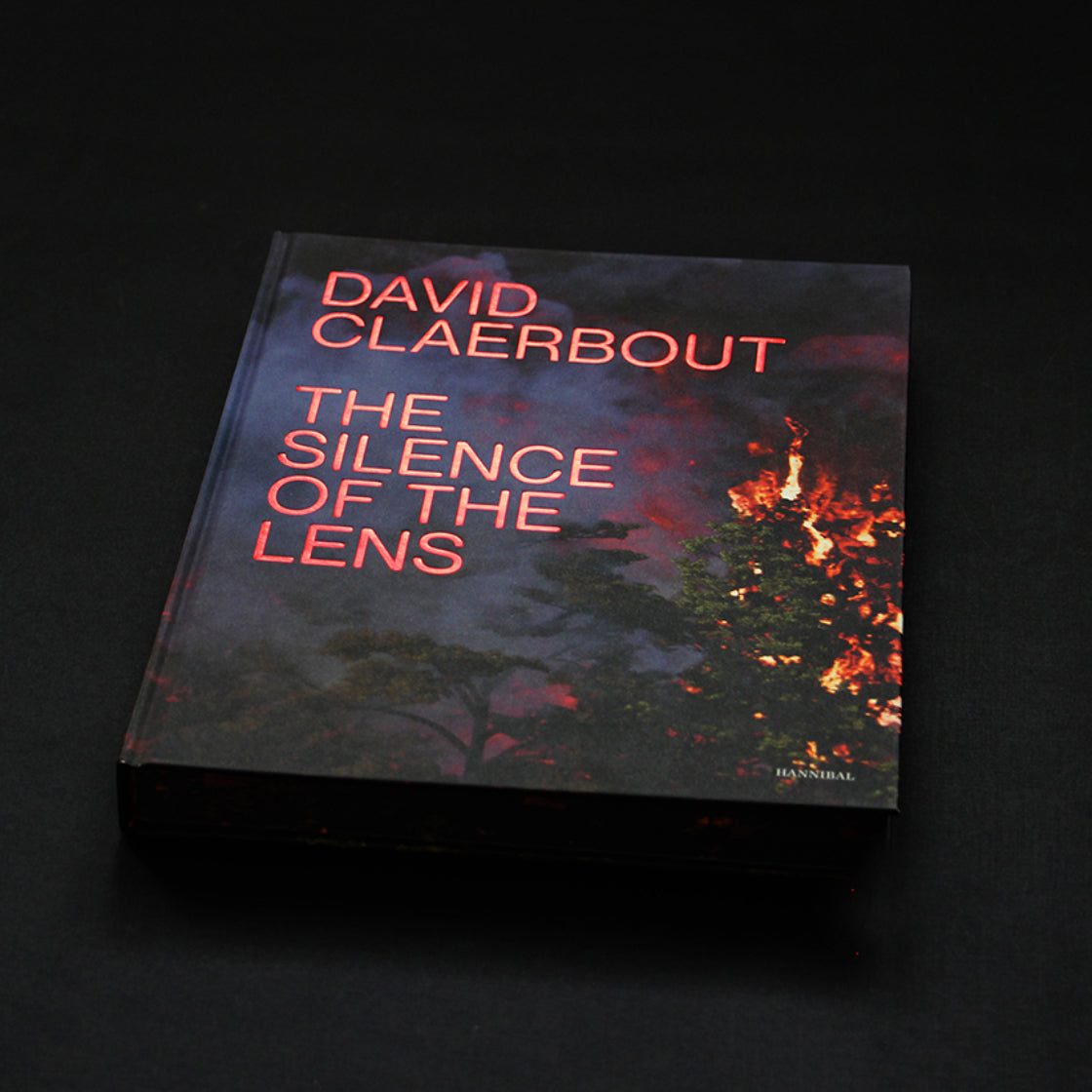 David Claerbout: The Silence of the Lens