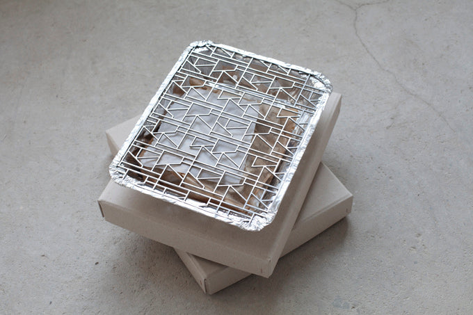 Martin Boyce: Forest Fire, 2012