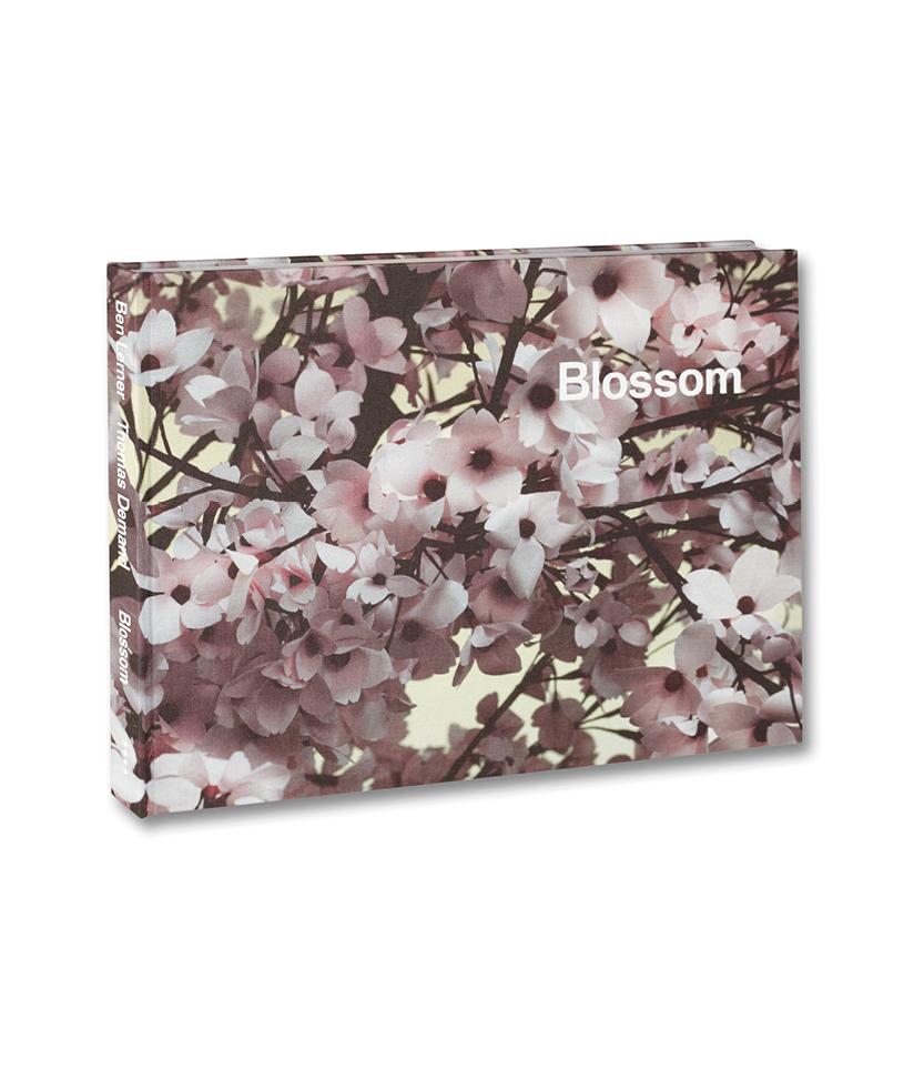 Thomas Demand: Blossom