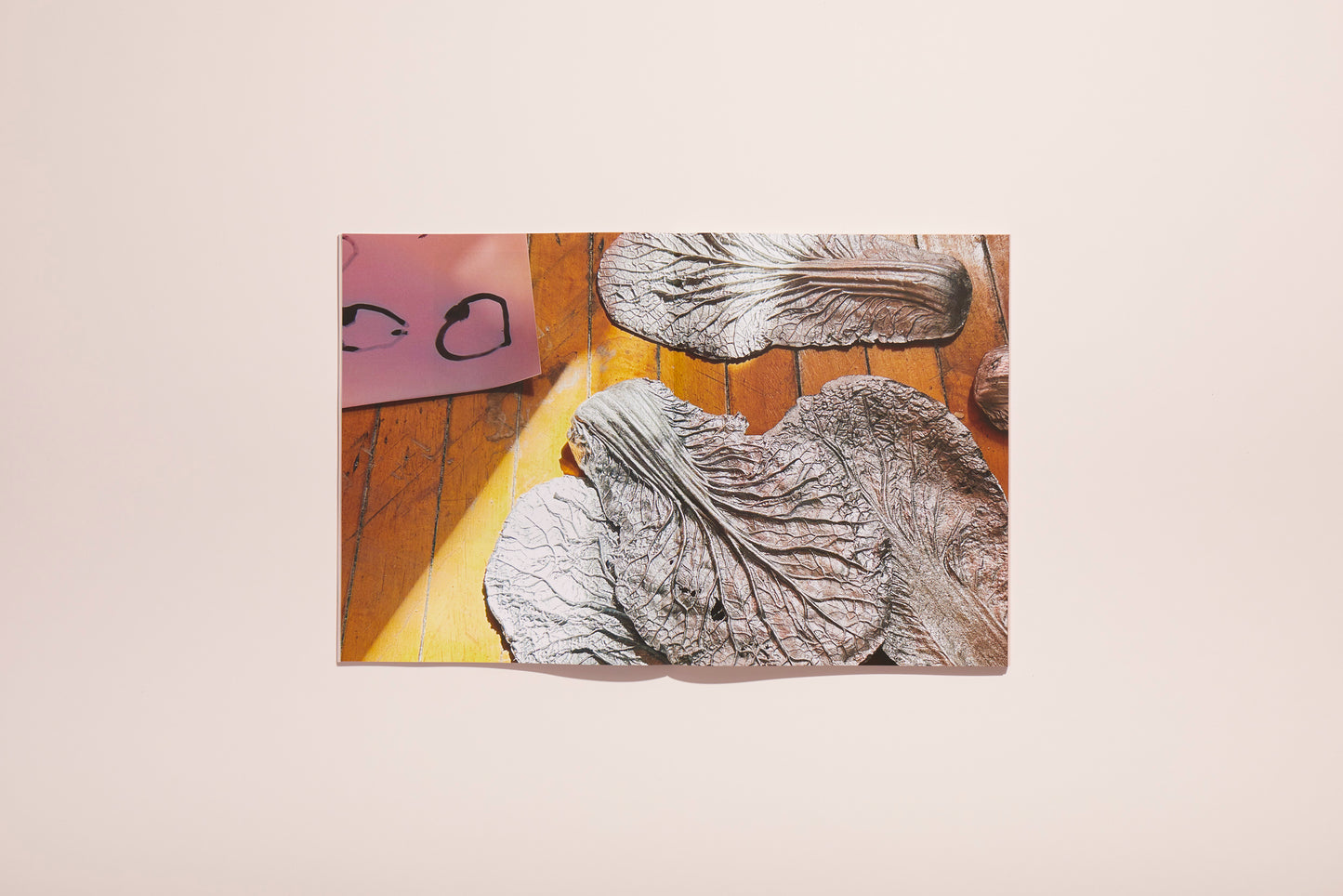 Lotus L. Kang: In Cascades