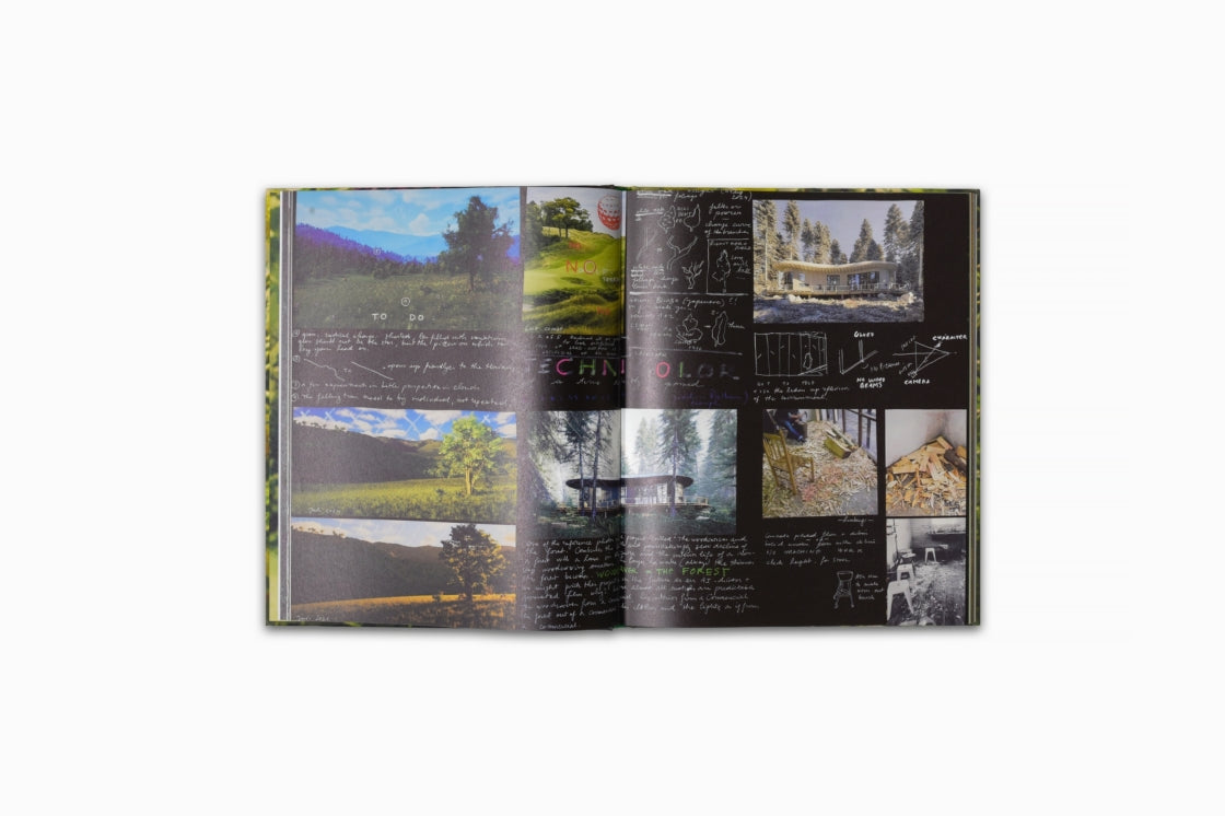 David Claerbout: Birdsong