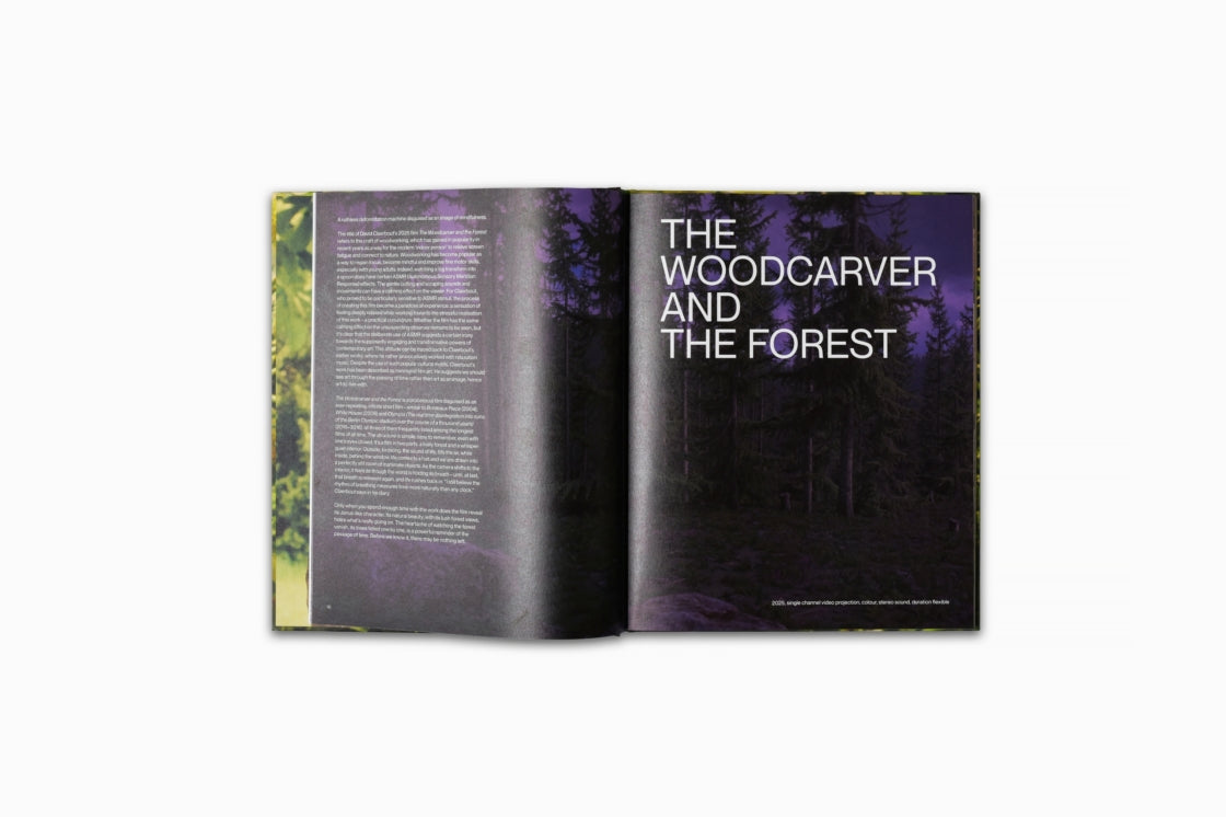 David Claerbout: Birdsong