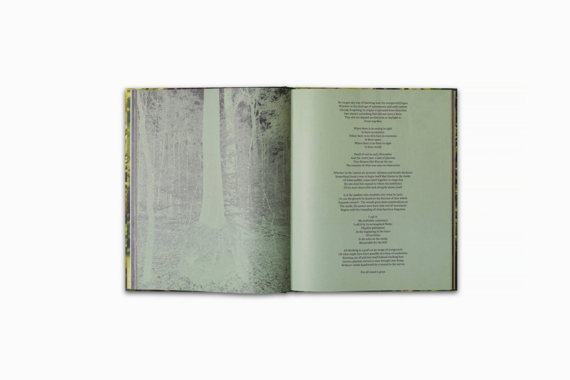 David Claerbout: Birdsong