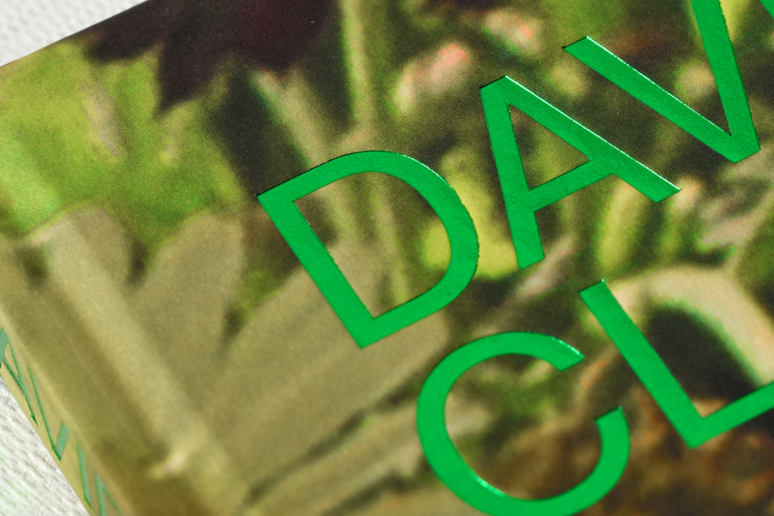 David Claerbout: Birdsong