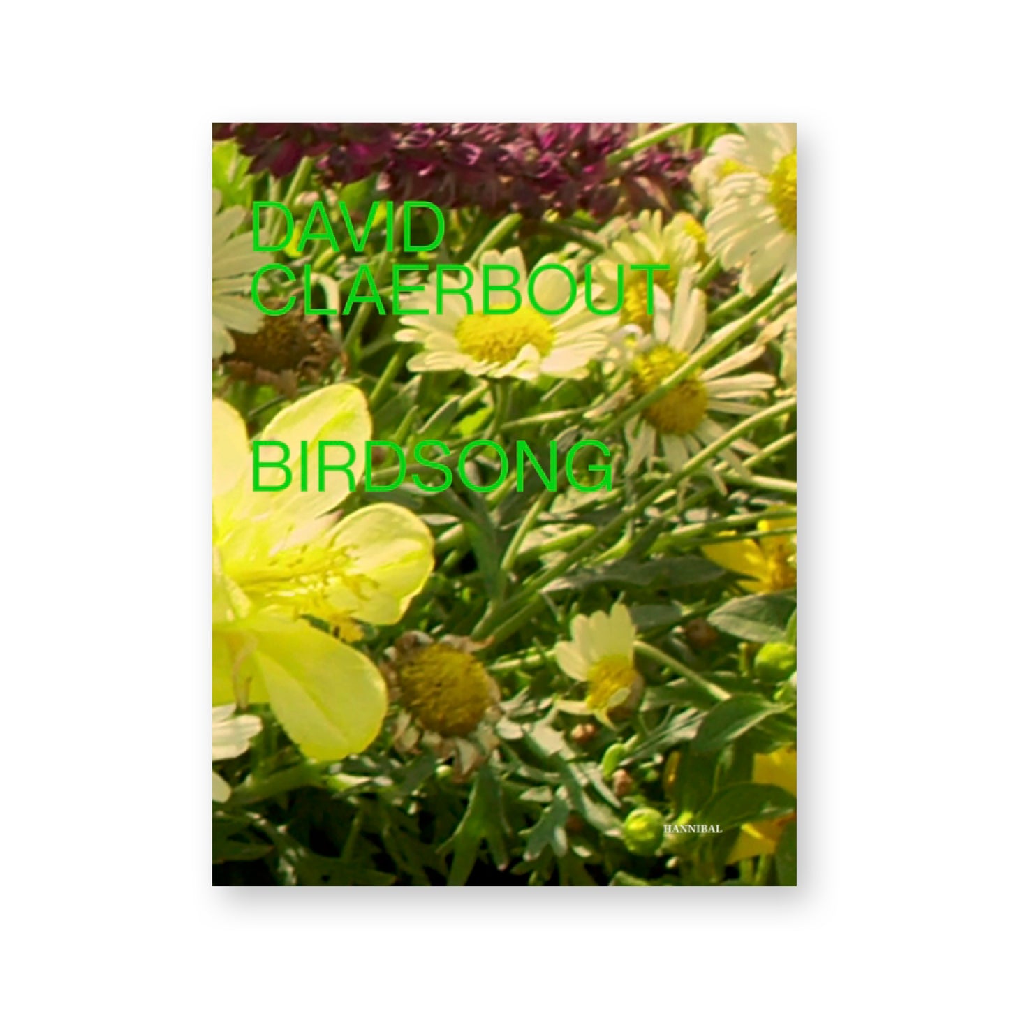 David Claerbout: Birdsong