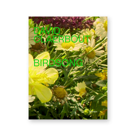 David Claerbout: Birdsong