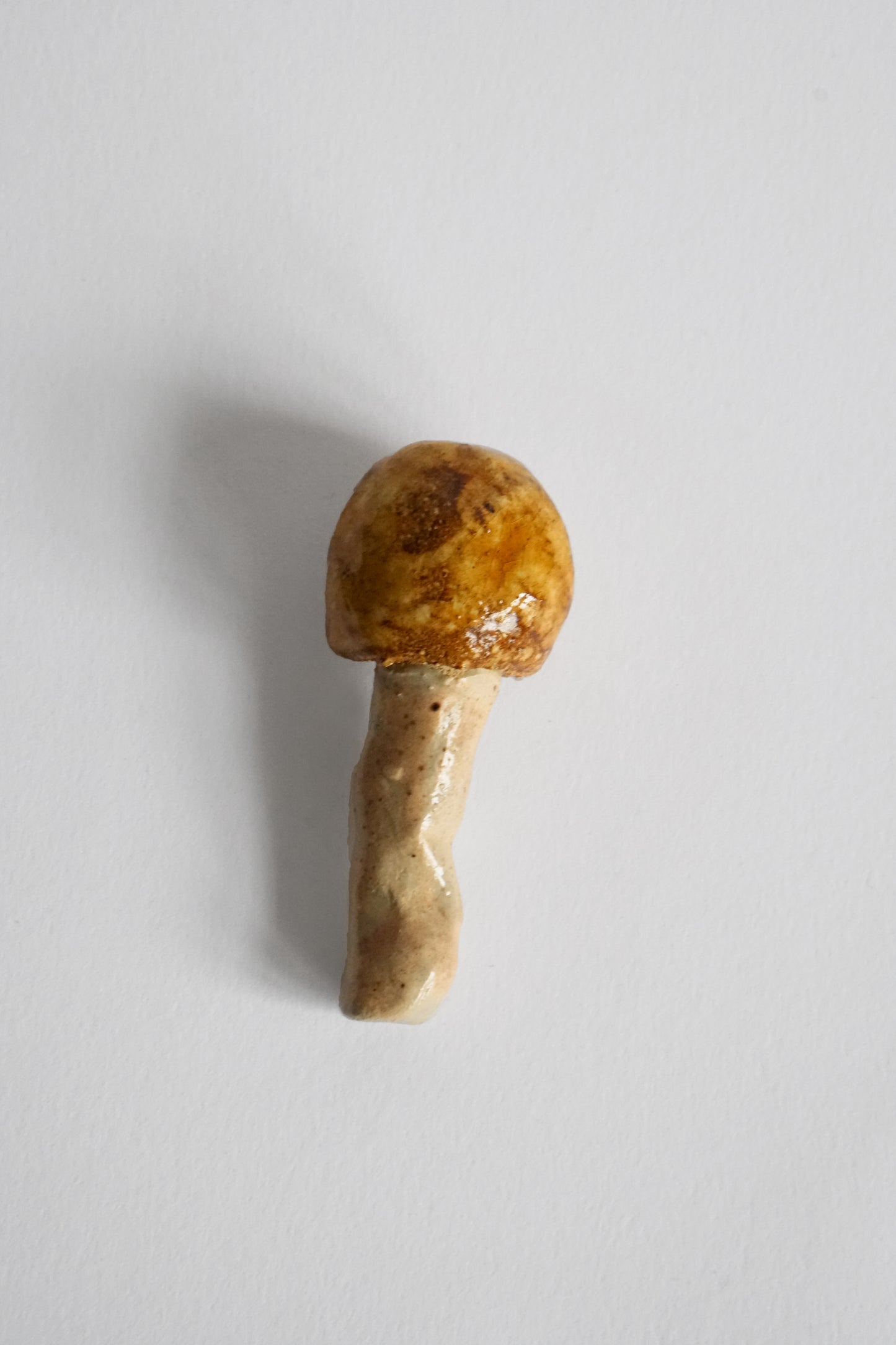 Isa Melsheimer: Matsutake, 2018-2020