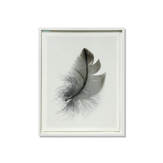 Christoph Keller: Down Feather, 2023