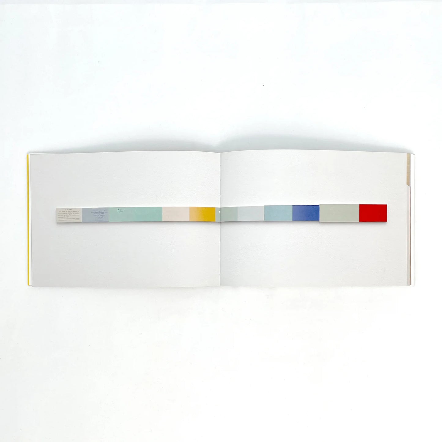 Jac Leirner: ADD IT UP